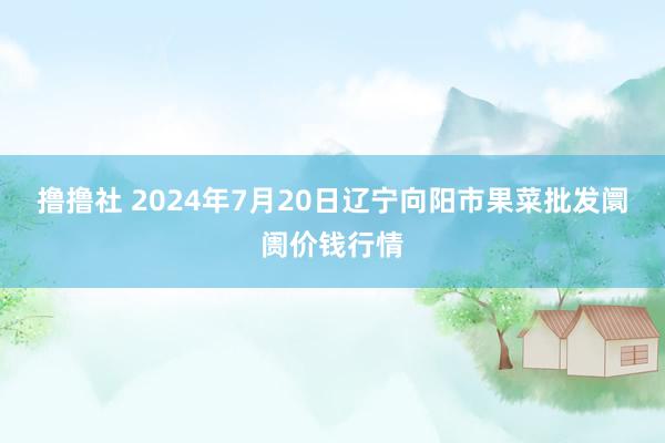 撸撸社 2024年7月20日辽宁向阳市果菜批发阛阓价钱行情