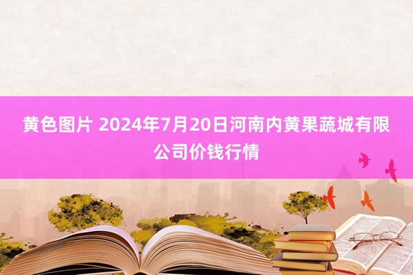 黄色图片 2024年7月20日河南内黄果蔬城有限公司价钱行情