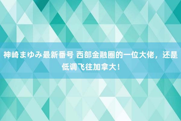 神崎まゆみ最新番号 西部金融圈的一位大佬，还是低调飞往加拿大！