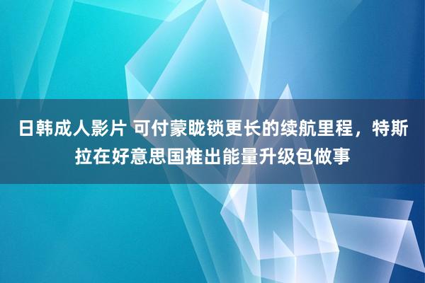 日韩成人影片 可付蒙眬锁更长的续航里程，特斯拉在好意思国推出能量升级包做事