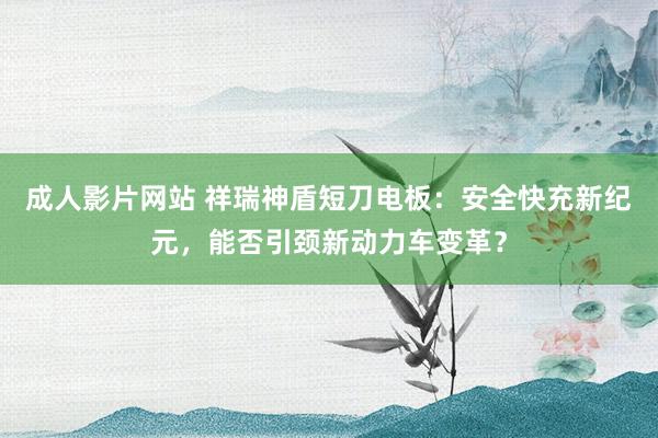 成人影片网站 祥瑞神盾短刀电板：安全快充新纪元，能否引颈新动力车变革？