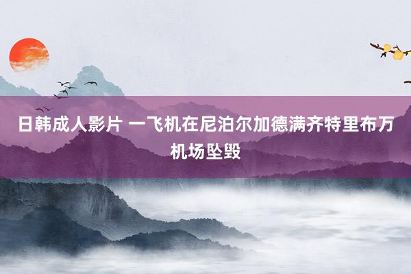 日韩成人影片 一飞机在尼泊尔加德满齐特里布万机场坠毁