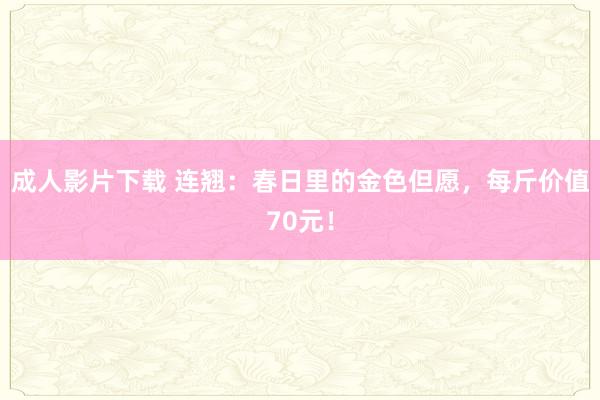 成人影片下载 连翘：春日里的金色但愿，每斤价值70元！