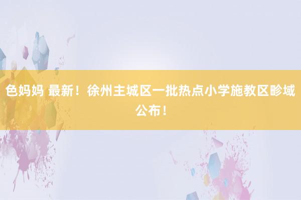 色妈妈 最新！徐州主城区一批热点小学施教区畛域公布！