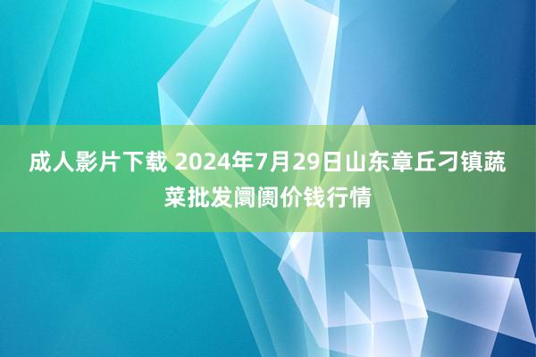 成人影片下载 2024年7月29日山东章丘刁镇蔬菜批发阛阓价钱行情