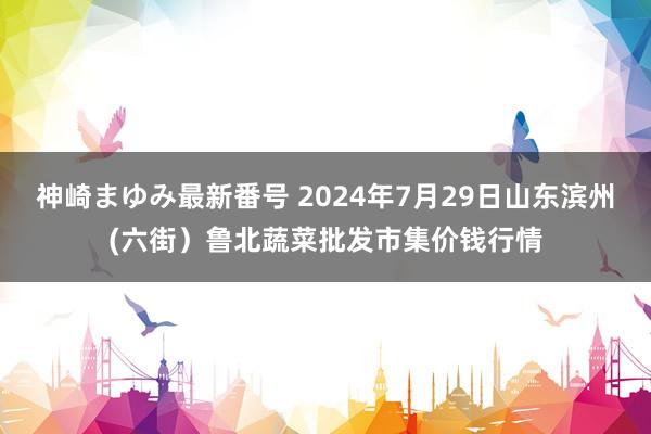 神崎まゆみ最新番号 2024年7月29日山东滨州(六街）鲁北蔬菜批发市集价钱行情