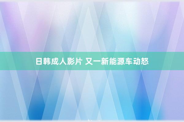 日韩成人影片 又一新能源车动怒