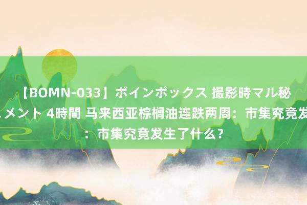 【BOMN-033】ボインボックス 撮影時マル秘面接ドキュメント 4時間 马来西亚棕榈油连跌两周：市集究竟发生了什么？