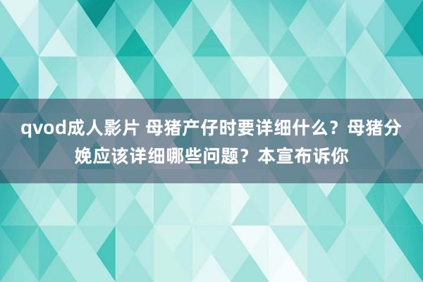 qvod成人影片 母猪产仔时要详细什么？母猪分娩应该详细哪些问题？本宣布诉你