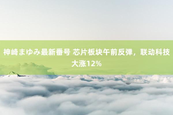 神崎まゆみ最新番号 芯片板块午前反弹，联动科技大涨12%