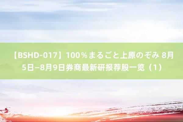 【BSHD-017】100％まるごと上原のぞみ 8月5日—8月9日券商最新研报荐股一览（1）