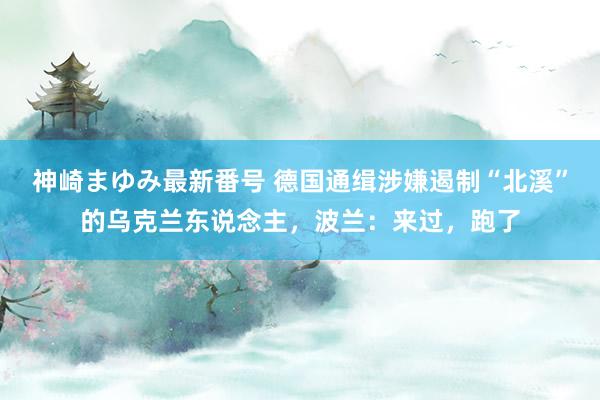 神崎まゆみ最新番号 德国通缉涉嫌遏制“北溪”的乌克兰东说念主，波兰：来过，跑了