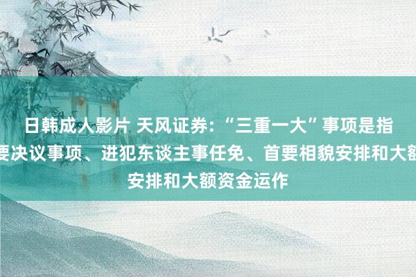 日韩成人影片 天风证券: “三重一大”事项是指公司的首要决议事项、进犯东谈主事任免、首要相貌安排和大额资金运作