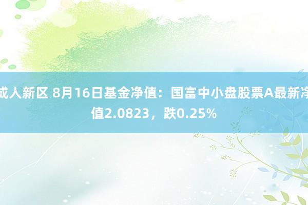 成人新区 8月16日基金净值：国富中小盘股票A最新净值2.0823，跌0.25%