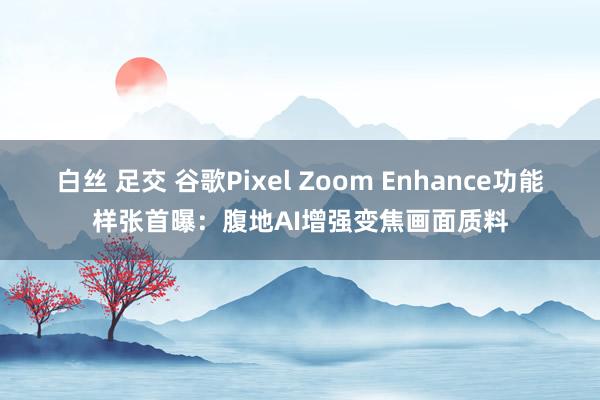 白丝 足交 谷歌Pixel Zoom Enhance功能样张首曝：腹地AI增强变焦画面质料