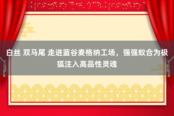 白丝 双马尾 走进蓝谷麦格纳工场，强强蚁合为极狐注入高品性灵魂