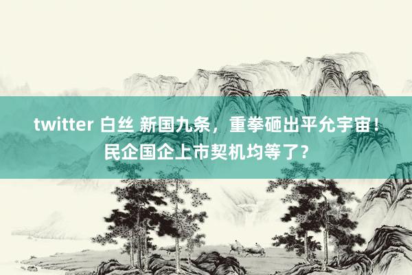 twitter 白丝 新国九条，重拳砸出平允宇宙！民企国企上市契机均等了？