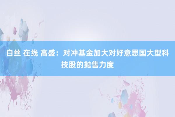 白丝 在线 高盛：对冲基金加大对好意思国大型科技股的抛售力度