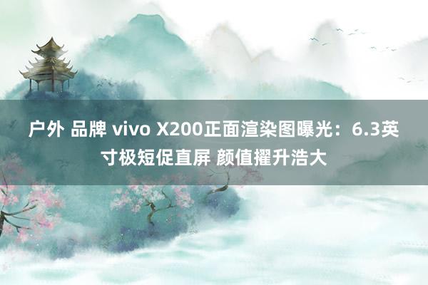 户外 品牌 vivo X200正面渲染图曝光：6.3英寸极短促直屏 颜值擢升浩大