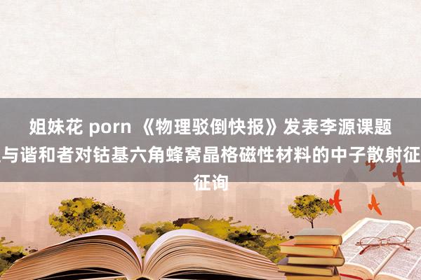 姐妹花 porn 《物理驳倒快报》发表李源课题组与谐和者对钴基六角蜂窝晶格磁性材料的中子散射征询