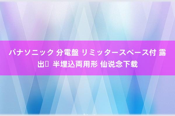 パナソニック 分電盤 リミッタースペース付 露出・半埋込両用形 仙说念下载