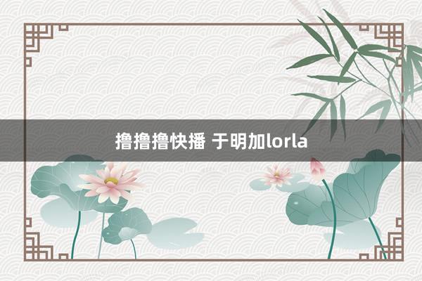 撸撸撸快播 于明加lorla