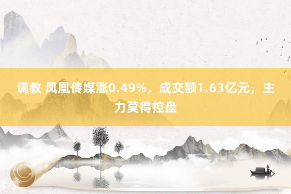 调教 凤凰传媒涨0.49%，成交额1.63亿元，主力莫得控盘